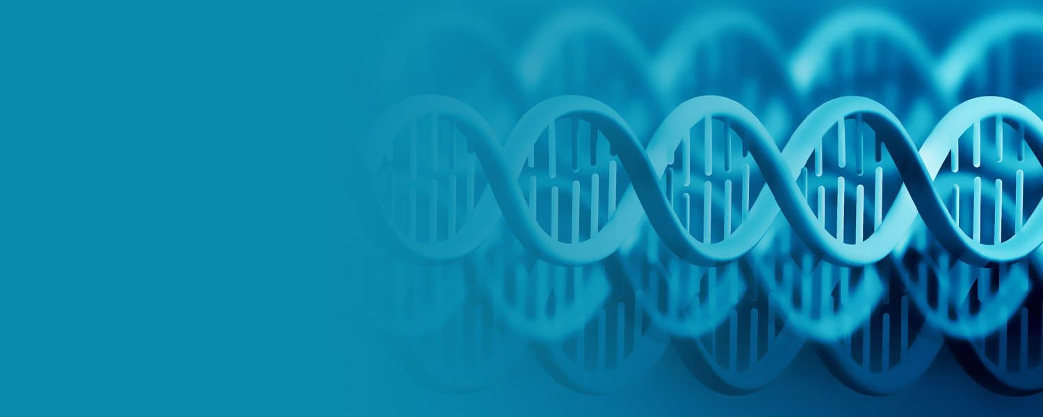 Chemtech Group team and operations